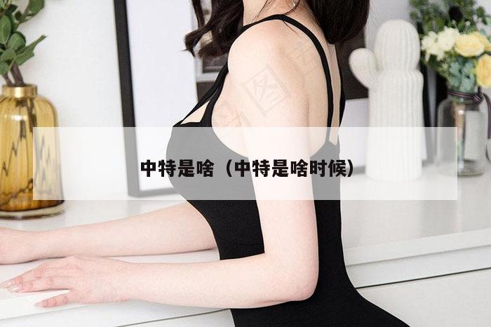 中特是啥(中特是啥时候)